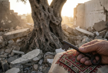 فلسطين: جرح الإنسانية المفتوح