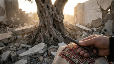 فلسطين: جرح الإنسانية المفتوح