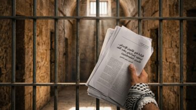 قراءة في قانون الإعدام