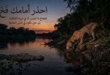 احذر أمامك فخ